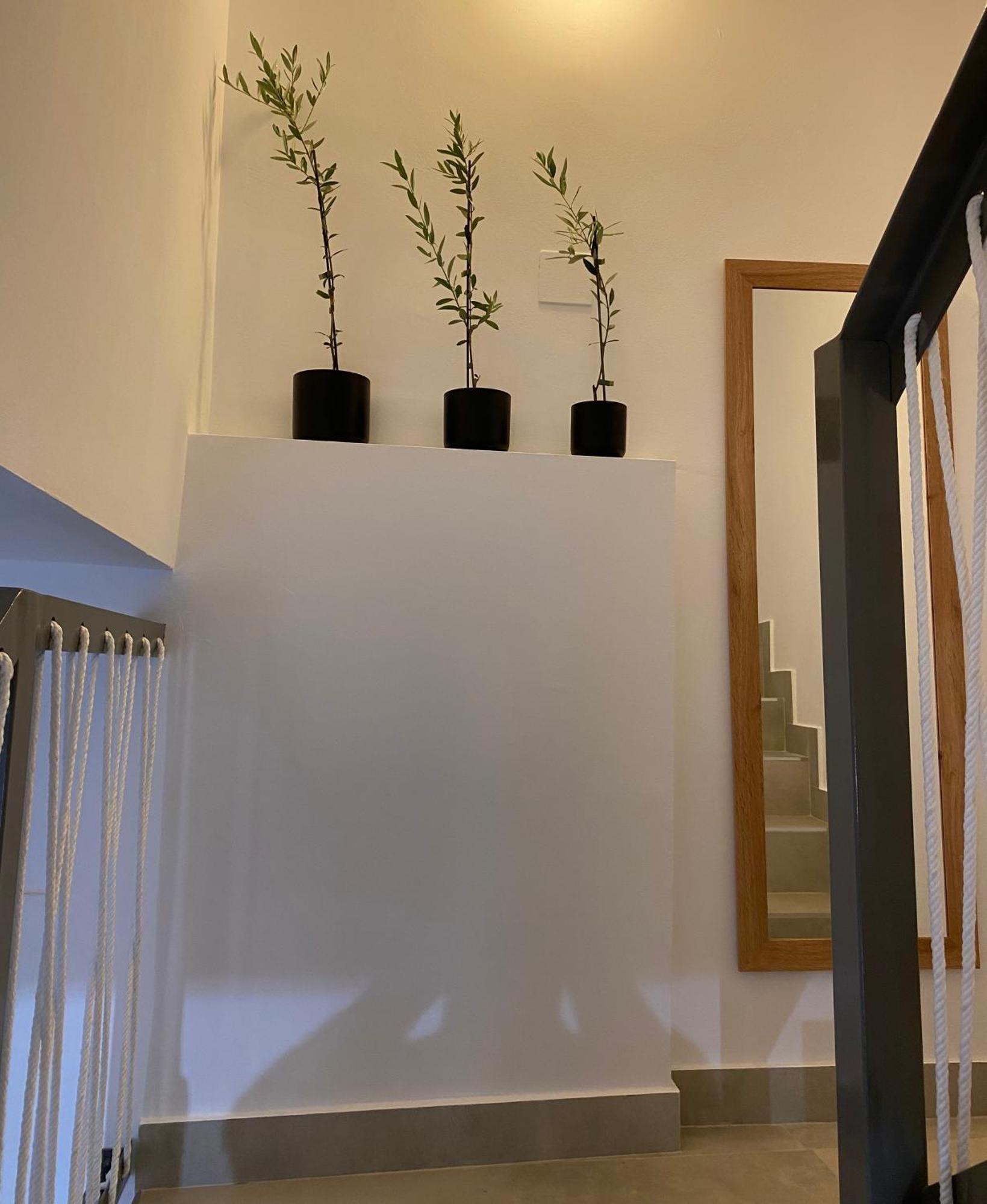 El Olivo Villa Alcaudete Eksteriør bilde
